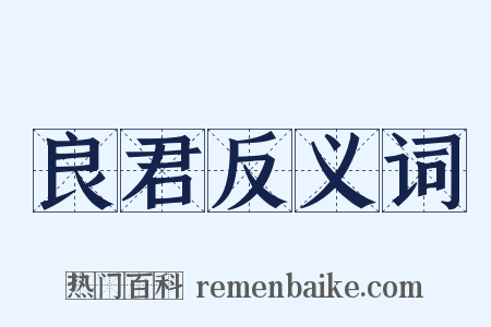 良君反义词是什么意思的图片
